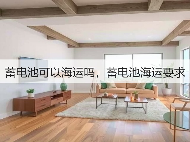 蓄电池可以海运吗，蓄电池海运要求(图2)