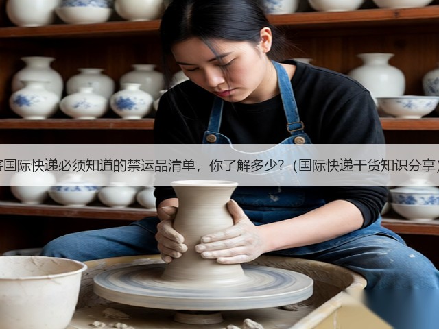 寄国际快递必须知道的禁运品清单，你了解多少?（国际快递干货知识分享）(图2)