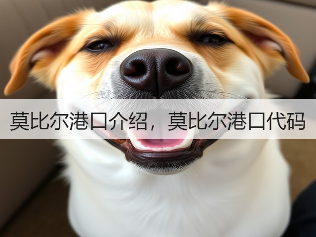 莫比尔港口介绍,莫比尔港口代码(图1) 莫比尔港口介绍,莫比尔港口代码(图1)