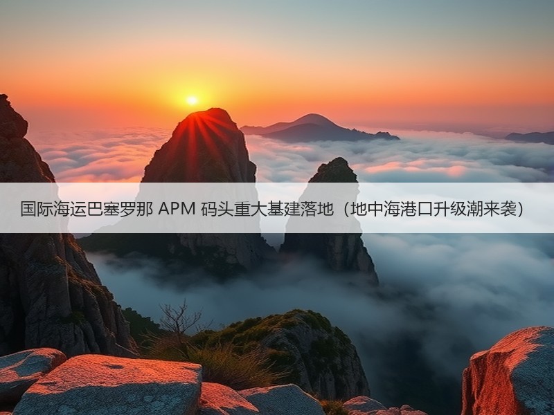 国际海运巴塞罗那 APM 码头重大基建落地(地中海港口升级潮来袭) 国际海运巴塞罗那 APM 码头重大基建落地(地中海港口升级潮来袭)