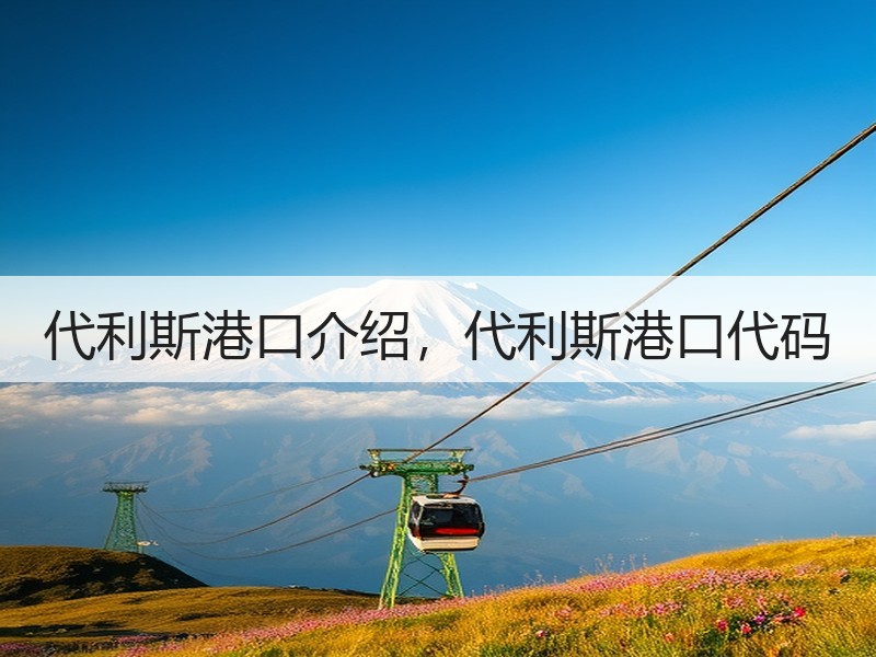 代利斯港口介绍,代利斯港口代码 代利斯港口介绍,代利斯港口代码
