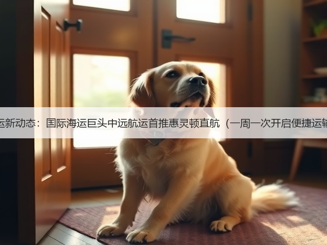 航运新动态:国际海运巨头中远航运首推惠灵顿直航(一周一次开启便捷运输)(图2) 航运新动态:国际海运巨头中远航运首推惠灵顿直航(一周一次开启便捷运输)(图2)
