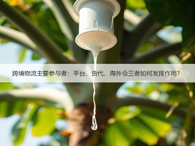 跨境物流主要参与者：平台、货代、海外仓三者如何发挥作用？(图2)