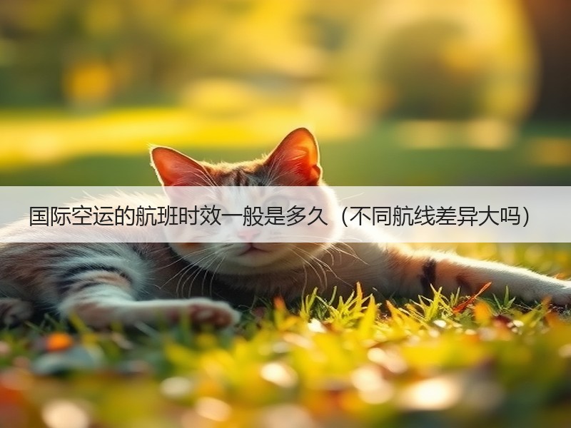 国际空运的航班时效一般是多久（不同航线差异大吗）
