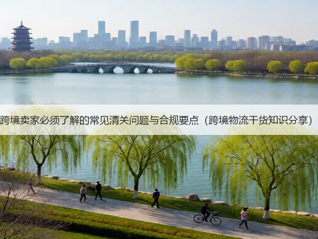 跨境卖家必须了解的常见清关问题与合规要点（跨境物流干货知识分享）(图2)