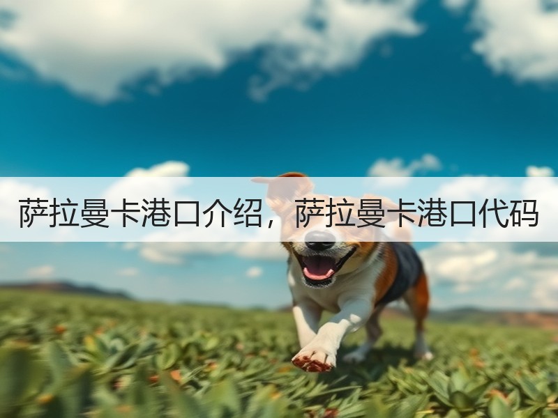 萨拉曼卡港口介绍，萨拉曼卡港口代码