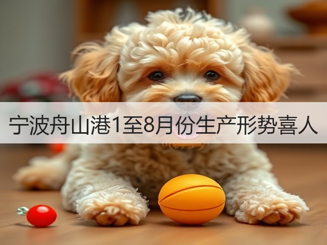 宁波舟山港1至8月份生产形势喜人(图2)