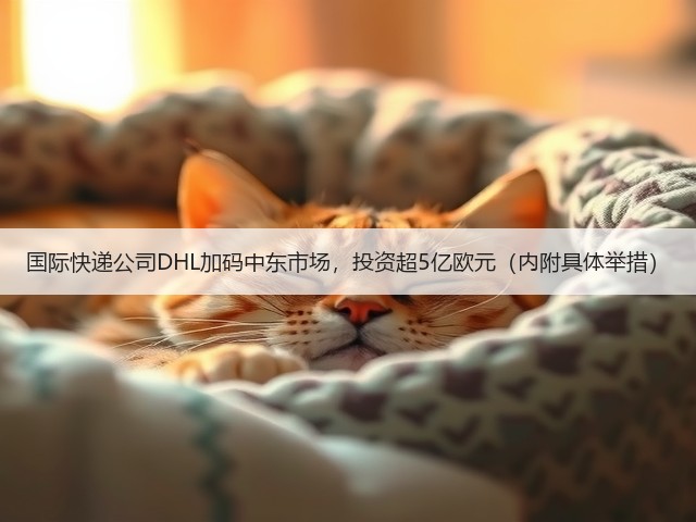 国际快递公司DHL加码中东市场,投资超5亿欧元(内附具体举措)(图1) 国际快递公司DHL加码中东市场,投资超5亿欧元(内附具体举措)(图1)