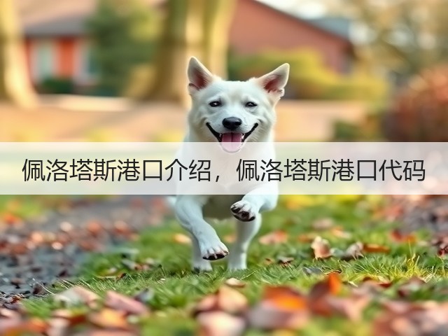佩洛塔斯港口介绍,佩洛塔斯港口代码(图1) 佩洛塔斯港口介绍,佩洛塔斯港口代码(图1)