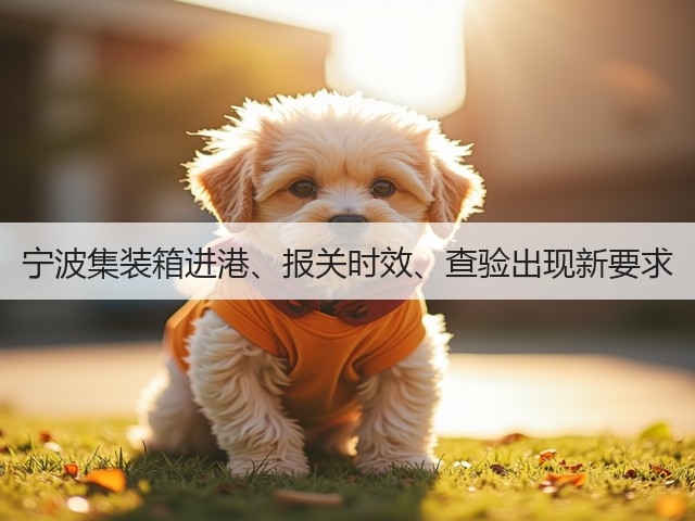 宁波集装箱进港、报关时效、查验出现新要求(图2) 宁波集装箱进港、报关时效、查验出现新要求(图2)