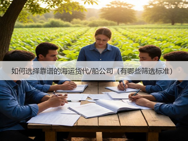 如何选择靠谱的海运货代/船公司(有哪些筛选标准)(图2) 如何选择靠谱的海运货代/船公司(有哪些筛选标准)(图2)
