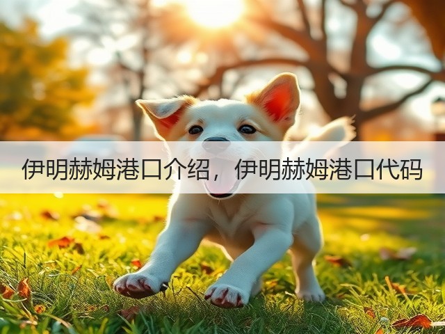 伊明赫姆港口介绍,伊明赫姆港口代码(图2) 伊明赫姆港口介绍,伊明赫姆港口代码(图2)