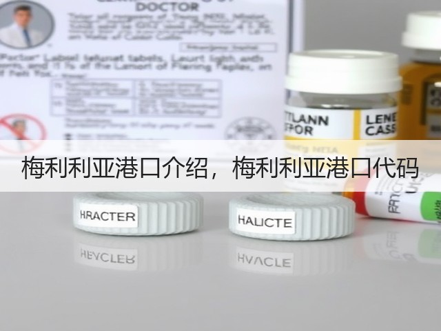 梅利利亚港口介绍,梅利利亚港口代码(图2) 梅利利亚港口介绍,梅利利亚港口代码(图2)