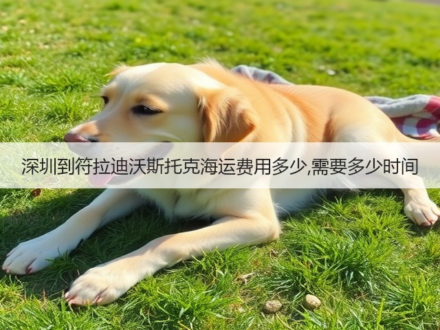 深圳到符拉迪沃斯托克海运费用多少,需要多少时间(图2) 深圳到符拉迪沃斯托克海运费用多少,需要多少时间(图2)