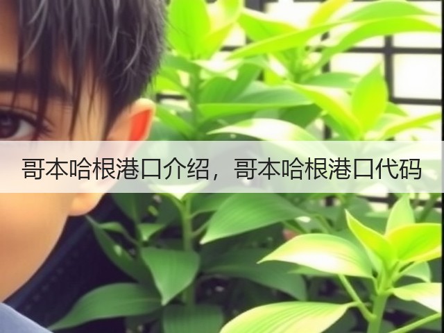 哥本哈根港口介绍,哥本哈根港口代码(图1) 哥本哈根港口介绍,哥本哈根港口代码(图1)