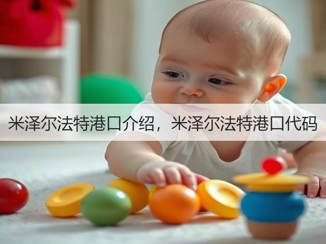 米泽尔法特港口介绍，米泽尔法特港口代码(图2)