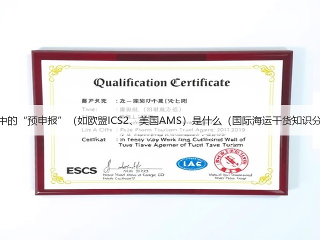 海运中的“预申报”(如欧盟ICS2、美国AMS)是什么(国际海运干货知识分享)(图1) 海运中的“预申报”(如欧盟ICS2、美国AMS)是什么(国际海运干货知识分享)(图1)
