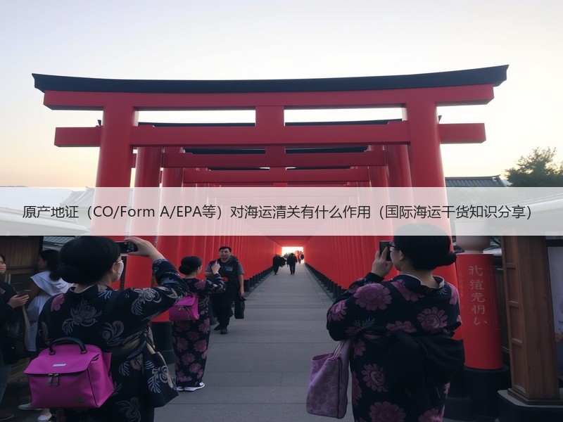 原产地证（CO/Form A/EPA等）对海运清关有什么作用（国际海运干货知识分享）