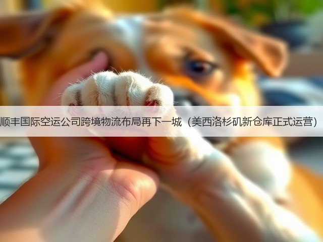 顺丰国际空运公司跨境物流布局再下一城(美西洛杉矶新仓库正式运营)(图1) 顺丰国际空运公司跨境物流布局再下一城(美西洛杉矶新仓库正式运营)(图1)
