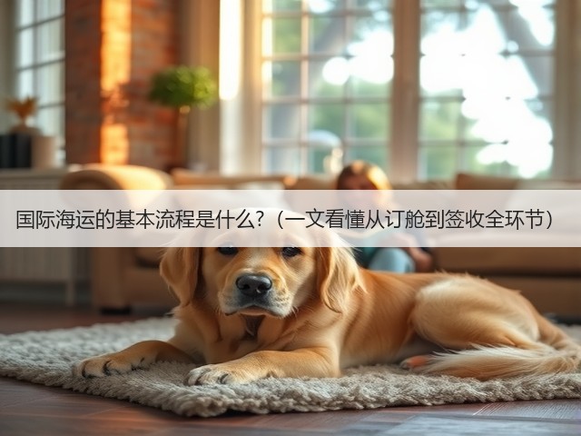 国际海运的基本流程是什么?(一文看懂从订舱到签收全环节)(图1) 国际海运的基本流程是什么?(一文看懂从订舱到签收全环节)(图1)