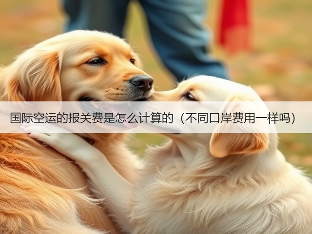 国际空运的报关费是怎么计算的(不同口岸费用一样吗)(图2) 国际空运的报关费是怎么计算的(不同口岸费用一样吗)(图2)