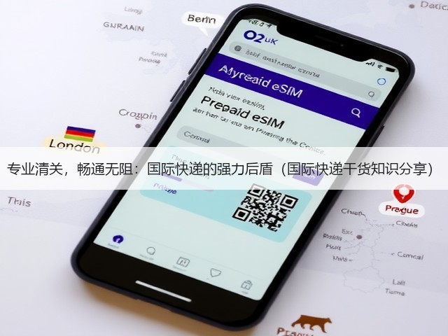 专业清关,畅通无阻:国际快递的强力后盾(国际快递干货知识分享)(图1) 专业清关,畅通无阻:国际快递的强力后盾(国际快递干货知识分享)(图1)