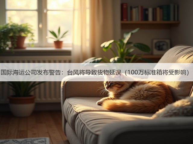 国际海运公司发布警告:台风将导致货物延误(100万标准箱将受影响)(图2) 国际海运公司发布警告:台风将导致货物延误(100万标准箱将受影响)(图2)