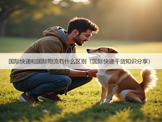 国际快递和国际物流有什么区别（国际快递干货知识分享）(图2)