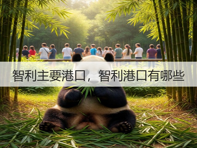 智利主要港口,智利港口有哪些(图2) 智利主要港口,智利港口有哪些(图2)
