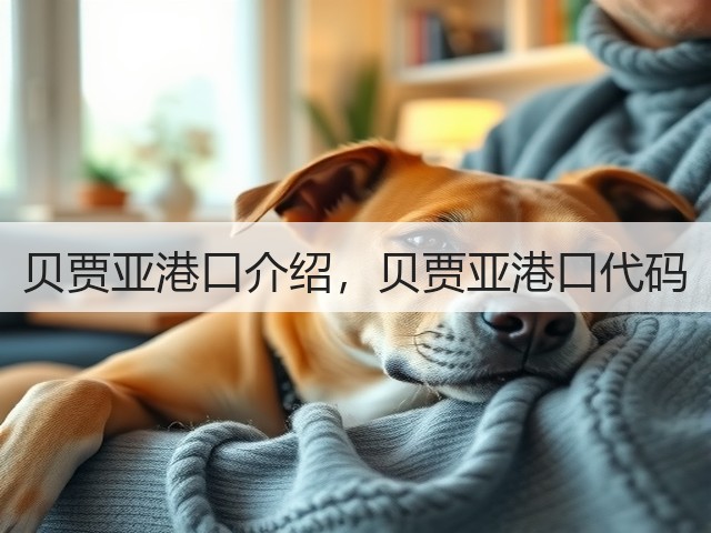 贝贾亚港口介绍,贝贾亚港口代码(图3) 贝贾亚港口介绍,贝贾亚港口代码(图3)