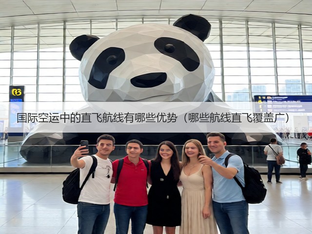 国际空运中的直飞航线有哪些优势（哪些航线直飞覆盖广）(图2)
