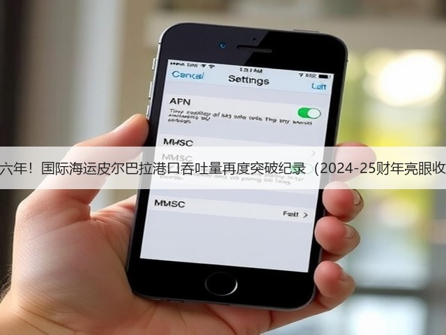 连续六年!国际海运皮尔巴拉港口吞吐量再度突破纪录(2024-25财年亮眼收官)(图2) 连续六年!国际海运皮尔巴拉港口吞吐量再度突破纪录(2024-25财年亮眼收官)(图2)
