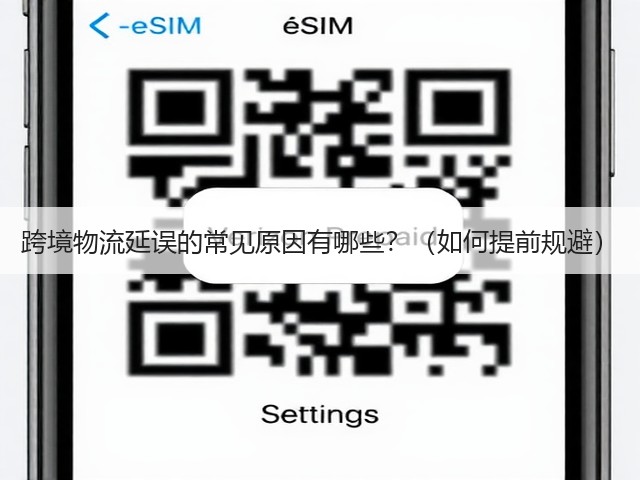 跨境物流延误的常见原因有哪些?(如何提前规避)(图1) 跨境物流延误的常见原因有哪些?(如何提前规避)(图1)