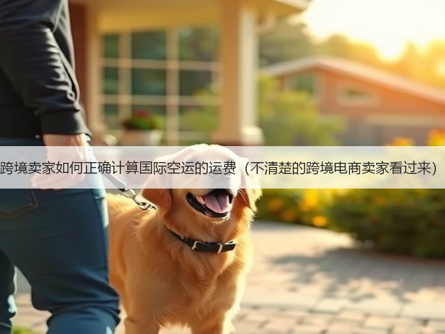 跨境卖家如何正确计算国际空运的运费(不清楚的跨境电商卖家看过来)(图2) 跨境卖家如何正确计算国际空运的运费(不清楚的跨境电商卖家看过来)(图2)
