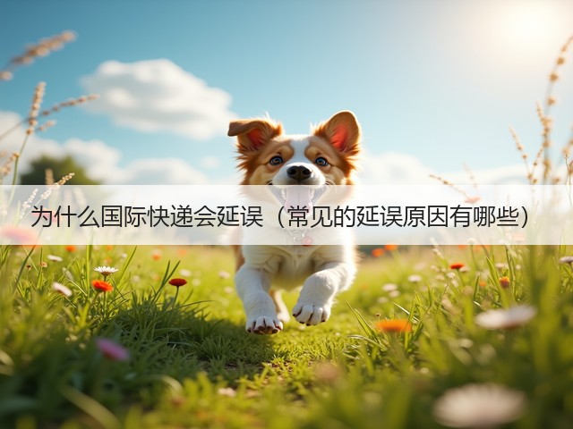 为什么国际快递会延误(常见的延误原因有哪些)(图3) 为什么国际快递会延误(常见的延误原因有哪些)(图3)