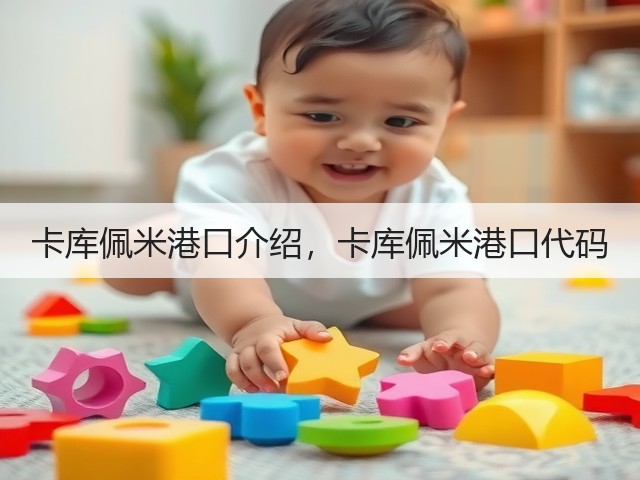 卡库佩米港口介绍,卡库佩米港口代码(图1) 卡库佩米港口介绍,卡库佩米港口代码(图1)