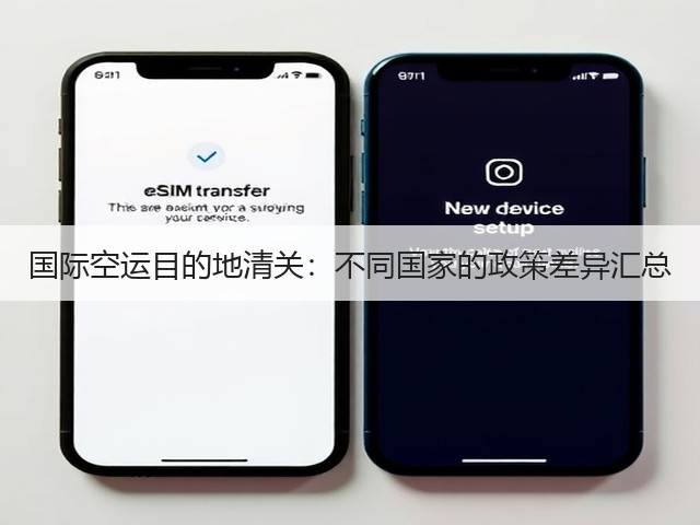 国际空运目的地清关:不同国家的政策差异汇总(图3) 国际空运目的地清关:不同国家的政策差异汇总(图3)