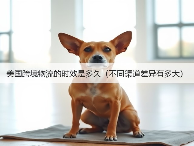 美国跨境物流的时效是多久(不同渠道差异有多大)(图1) 美国跨境物流的时效是多久(不同渠道差异有多大)(图1)