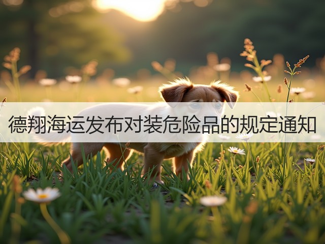 德翔海运发布对装危险品的规定通知(图2)