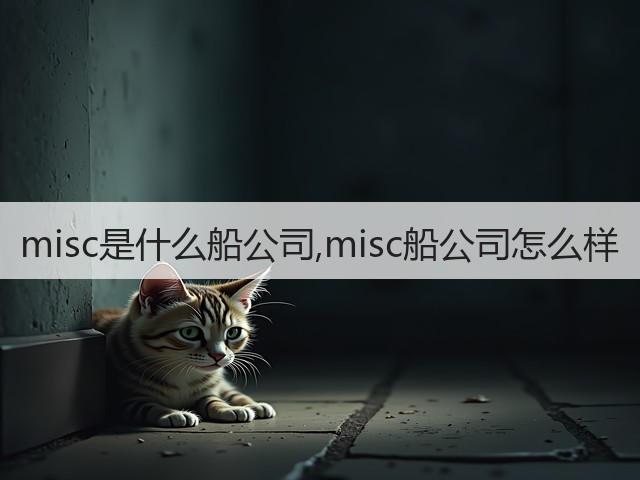 misc是什么船公司,misc船公司怎么样(图2) misc是什么船公司,misc船公司怎么样(图2)