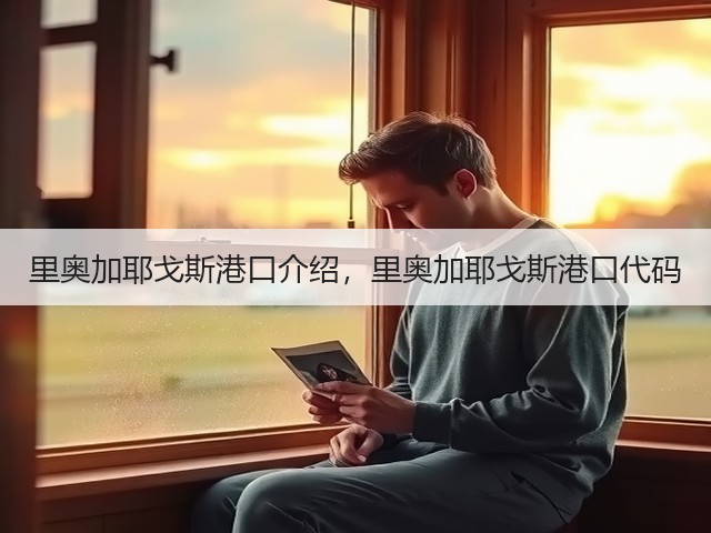 里奥加耶戈斯港口介绍,里奥加耶戈斯港口代码(图2) 里奥加耶戈斯港口介绍,里奥加耶戈斯港口代码(图2)