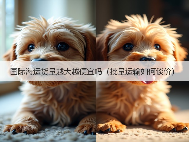 国际海运货量越大越便宜吗(批量运输如何谈价)(图2) 国际海运货量越大越便宜吗(批量运输如何谈价)(图2)