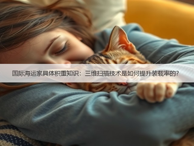 国际海运家具体积重知识:三维扫描技术是如何提升装载率的?(图2) 国际海运家具体积重知识:三维扫描技术是如何提升装载率的?(图2)