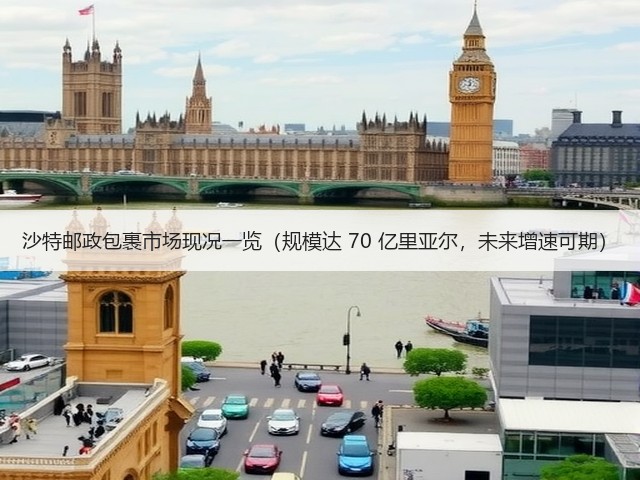 沙特邮政包裹市场现况一览(规模达 70 亿里亚尔,未来增速可期)(图2) 沙特邮政包裹市场现况一览(规模达 70 亿里亚尔,未来增速可期)(图2)