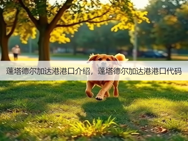 蓬塔德尔加达港港口介绍，蓬塔德尔加达港港口代码(图1)