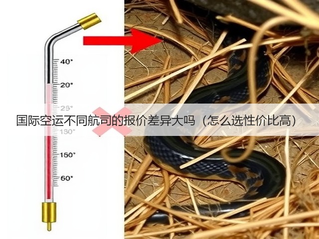 国际空运不同航司的报价差异大吗(怎么选性价比高)(图1) 国际空运不同航司的报价差异大吗(怎么选性价比高)(图1)