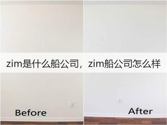 zim是什么船公司,zim船公司怎么样(图3) zim是什么船公司,zim船公司怎么样(图3)
