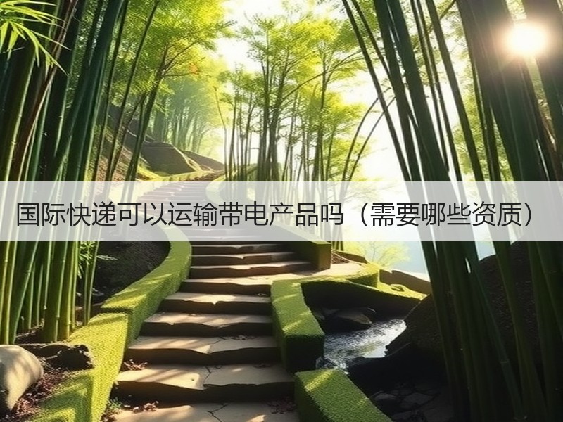 国际快递可以运输带电产品吗（需要哪些资质）