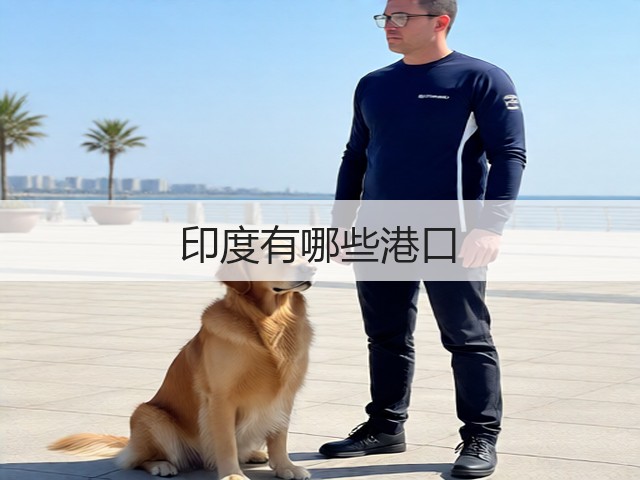印度有哪些港口(图2) 印度有哪些港口(图2)