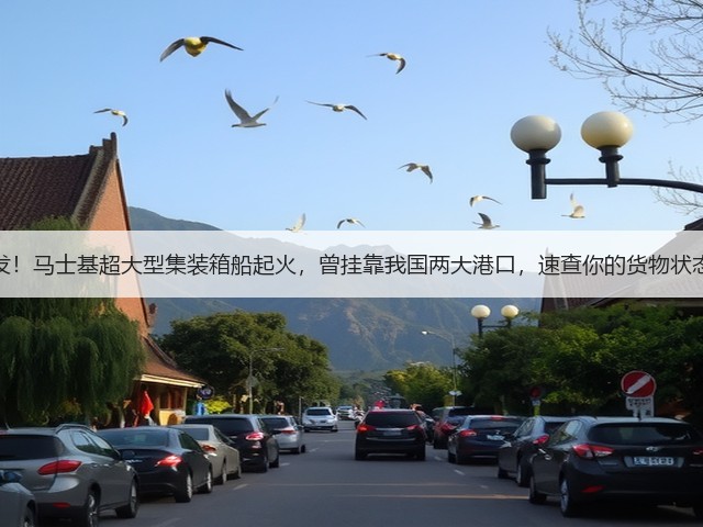 突发!马士基超大型集装箱船起火,曾挂靠我国两大港口,速查你的货物状态!(图2) 突发!马士基超大型集装箱船起火,曾挂靠我国两大港口,速查你的货物状态!(图2)